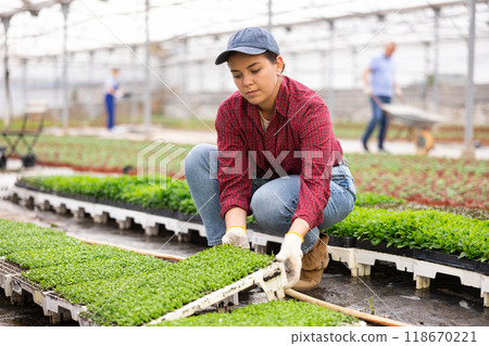 Young woman posing with planted peppermint 118670221