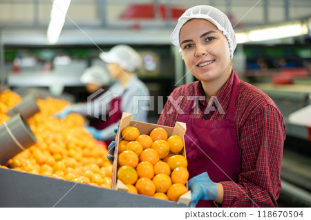 Glad positive female employee in colored uniforms hold a box of fresh ripe tangerines in their hands on citrus sorting line at warehouse. 118670504