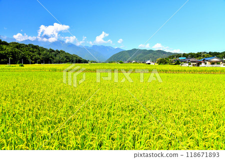 Scenery of Takekawa, Hokuto City, Yamanashi Prefecture / Looking towards Mt. Kaikoma (Hokuto City, Yamanashi Prefecture) [September 2024] 118671893
