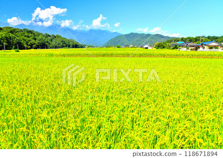 Scenery of Takekawa, Hokuto City, Yamanashi Prefecture / Looking towards Mt. Kaikoma (Hokuto City, Yamanashi Prefecture) [September 2024] 118671894