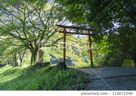 Okami Shrine First Torii 118672040