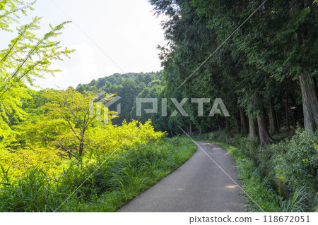 圍繞山路 118672051