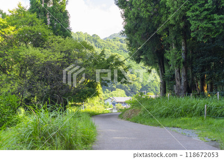 Road around the mountain 118672053