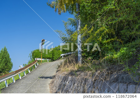 Road around the mountain 118672064