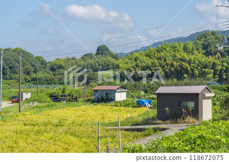 The Mountain Road (Anashi) 118672075