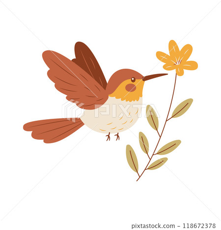 Cute Hummingbird Colibri Bird Flying with Flower Floral in Nature Park 118672378