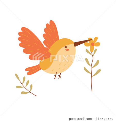 Cute Hummingbird Colibri Bird Flying with Flower Floral in Nature Park 118672379