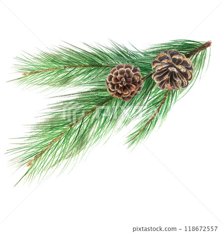 Pine branch with a pine cone watercolor illustration isolated on white. High quality hand painted plant design element perfect for cards, banners, posters, patterns, Christmas and New Year decor 118672557