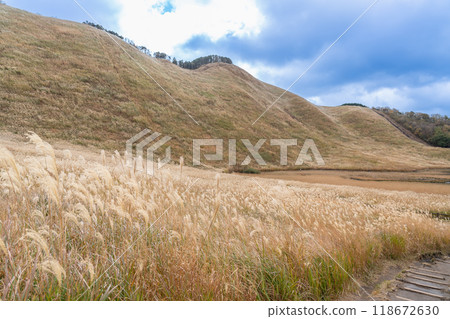 Autumn in the Soni Plateau and Okame Pond in Soni Village, Uda County, Nara Prefecture 118672630
