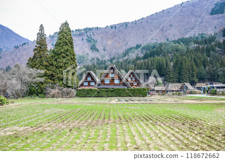 插秧前稻田中的白川鄉合掌式房屋 118672662