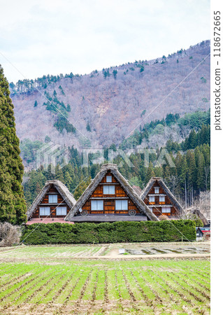 Shirakawa-go Gassho-style houses seen across the rice fields before rice planting Shirakawa-go Gassho-style houses seen across the rice fields before rice planting 118672665
