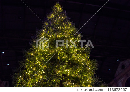 Decorated Christmas tree with multi-colored lights at night Decorated Christmas tree with multi-colored lights at night 118672967