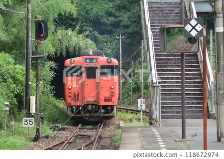 Diesel train leaving Niho Station 118672974