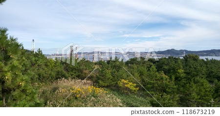 Shiratori Bridge from the heights 118673219