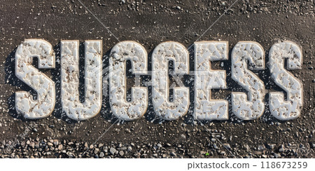 Road to Success 118673259