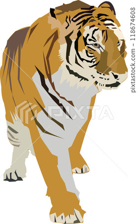 A tiger 118674608