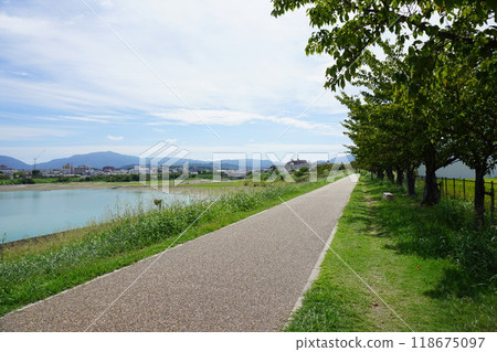 Sayama Pond, Sayama City, Osaka 118675097