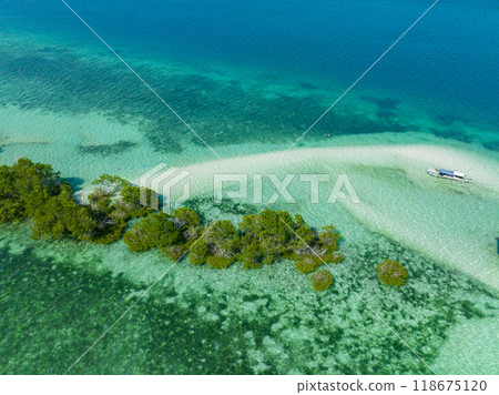 White sandbar and turquoise clear water. Vanishing Island. Samal, Davao. Philippines. 118675120