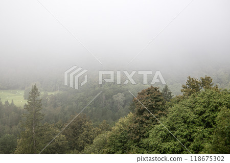 Nature view in fog on summer day, top view of fields with white bales of grass and trees 118675302