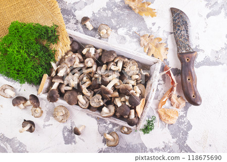 raw mushrooms on white tray on a table raw mushrooms on white tray on a table 118675690