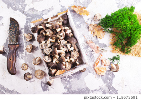 raw mushrooms on white tray on a table 118675691