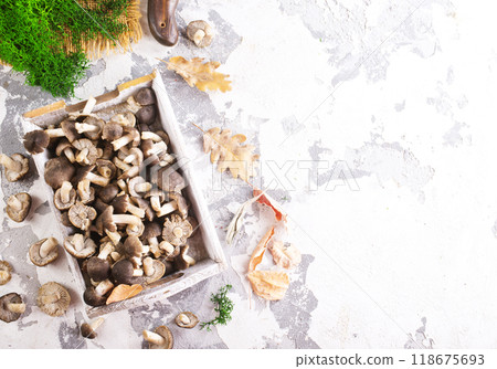 raw mushrooms on white tray on a table raw mushrooms on white tray on a table 118675693