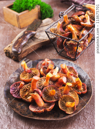 edible mushroom in metal bowl edible mushroom in metal bowl 118675701