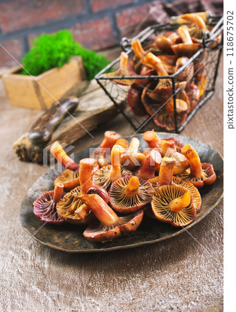 edible mushroom in metal bowl edible mushroom in metal bowl 118675702
