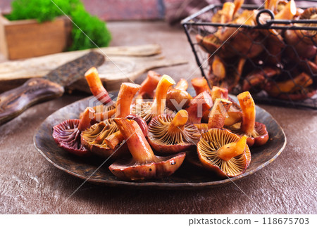 edible mushroom in metal bowl edible mushroom in metal bowl 118675703