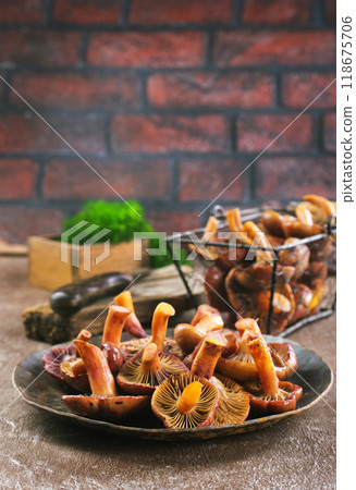 edible mushroom in metal bowl 118675706