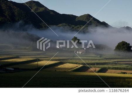 Misty countryside during rice harvest time: Rice terraces illuminated by the morning sun 118676264