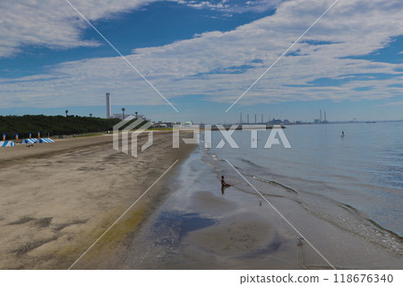 在海灘的盛開 118676340
