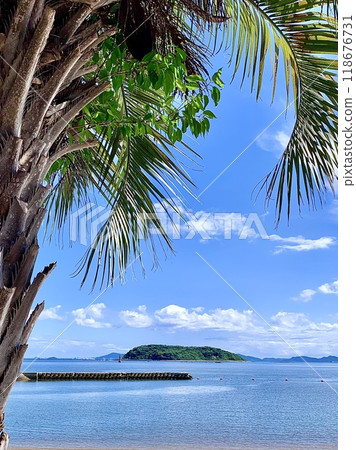 Kajishima and the Atsumi Peninsula seen through palm trees against the blue sky (Ebisu Beach, Kira Waikiki Beach/Nishio City, Aichi Prefecture) 118676731