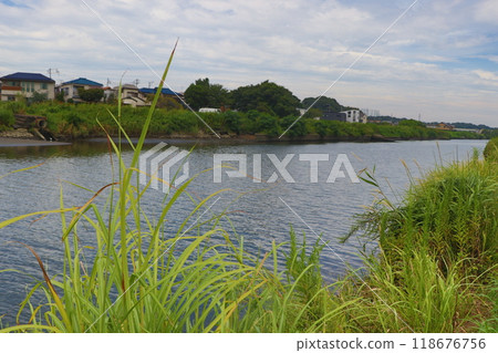 花見川河岸 花見川河岸 118676756