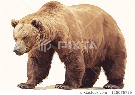 現實的棕熊 現實的棕熊 118676759