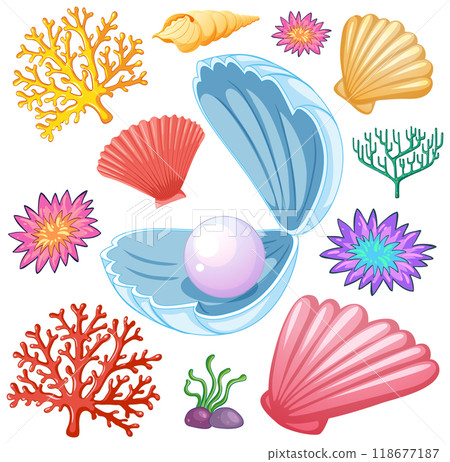 Seashells and Coral Vector Illustration Seashells and Coral Vector Illustration 118677187