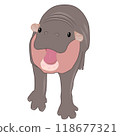 cartoon hippopotamus big smile 118677321