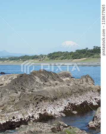 從神奈川縣相模灣看到的富士山 從神奈川縣相模灣看到的富士山 118677665