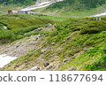 Snow-covered alpine region in summer 118677694