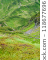 Lush summer plateau 118677696