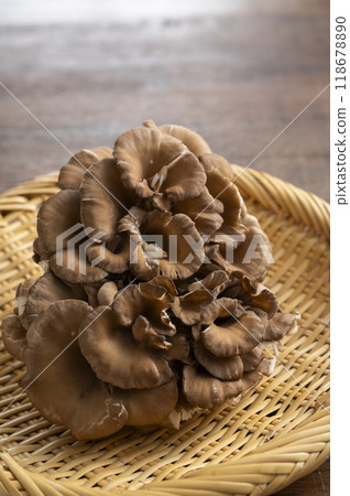 Irregular maitake mushrooms 118678890