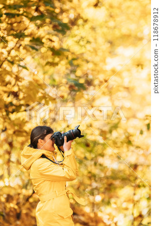 Aurlandsfjellet, Norway. Young Woman Tourist Photographer Taking Pictures Photos Of Autumn Yellow Forest Park. Lady Walking In Fall Park With Yellow Foliage 118678912