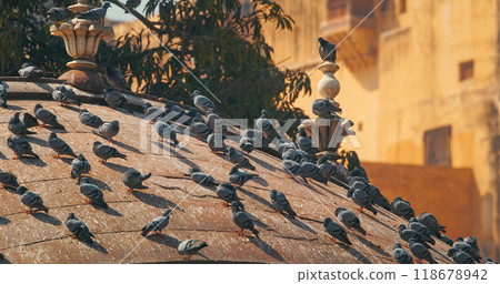 Pigeons Sitting On One Of Roofs Of Gate. Amer Fort Or Amber Fort Is Visible In Background. Amber Fort, Amer Palace Is Great Example Of Rajput Architecture. Amber Fort Principal Tourist Attraction In 118678942