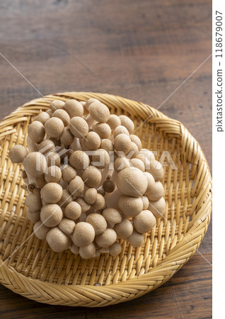 不規則姬菇 118679007