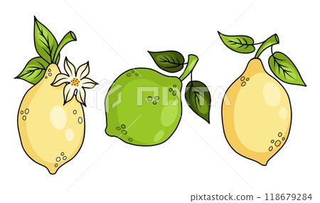 Yellow Lemon and green lime set. Seasonal tropical citrus fruit with flower and leaves. Isolated drawing. Vector illustration. Yellow Lemon and green lime set. Seasonal tropical citrus fruit with flower and leaves. Isolated drawing. Vector illustration. 118679284