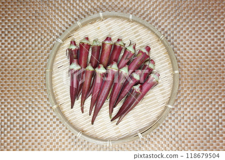 Red okra 118679504