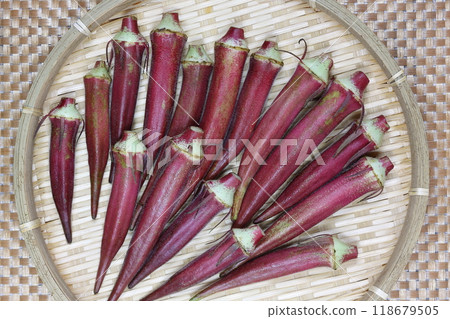 Red okra 118679505