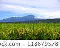Mountains and rice swaying in the wind New rice 118679578