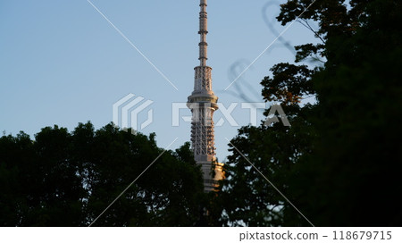 抬頭看天空樹 118679715