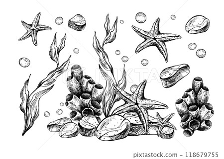 Underwater world clipart with sea animals starfish, pebbles, coral, sponge and algae. Graphic illustration hand drawn in black ink. Set of isolated objects EPS vector. 118679755